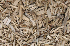 biomass boilers Roag