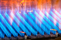 Roag gas fired boilers